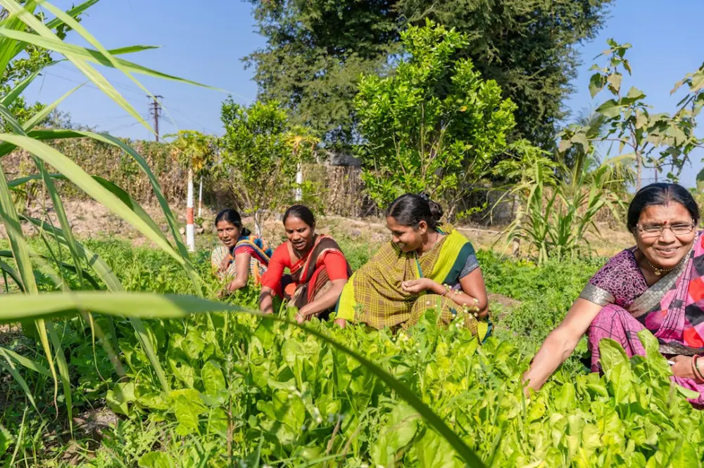 A group of women working in a field, illustrating environmental understanding